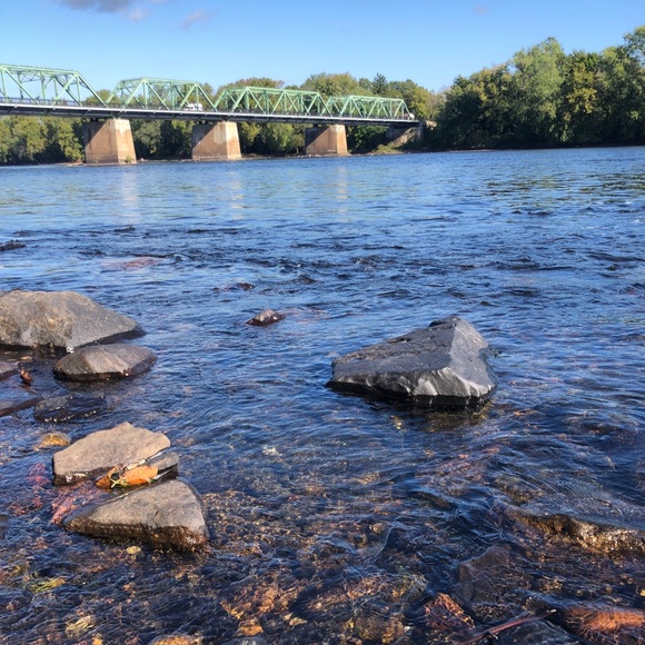 Meet your Posher, Julianna - Picture 1 of 1